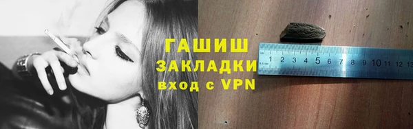 молекула духа Туринск