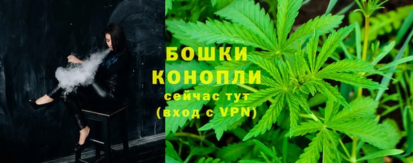 гидра Балахна