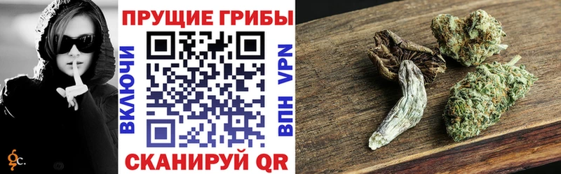купить   Ковдор  Галлюциногенные грибы Magic Shrooms 